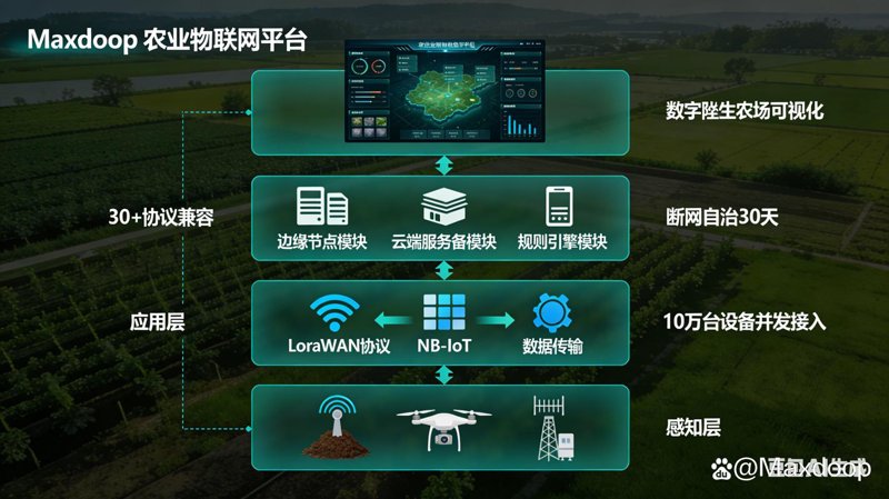 鹰视菲诺：让视觉更加高清
